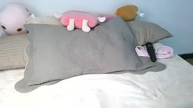 northly webcam