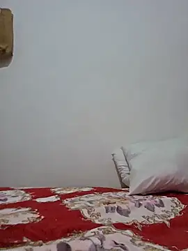 altinya webcam