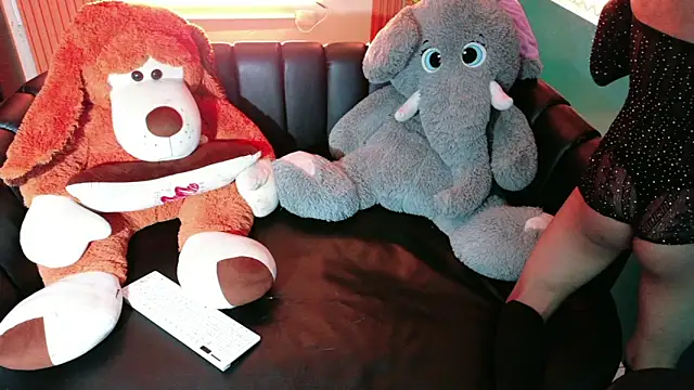 Evans_Robinson webcam