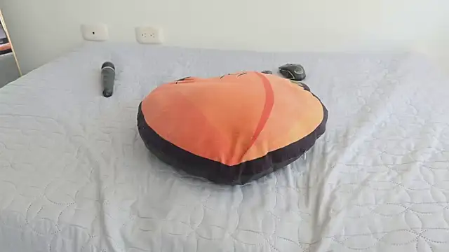 grey___27 webcam