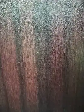 shapna-single webcam
