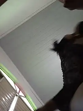 GreludaMilao webcam
