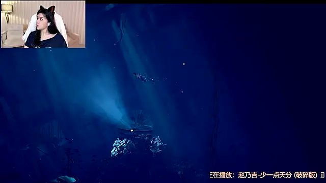 Canbaobao-KK webcam