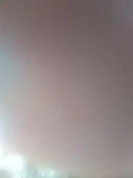 catnox webcam