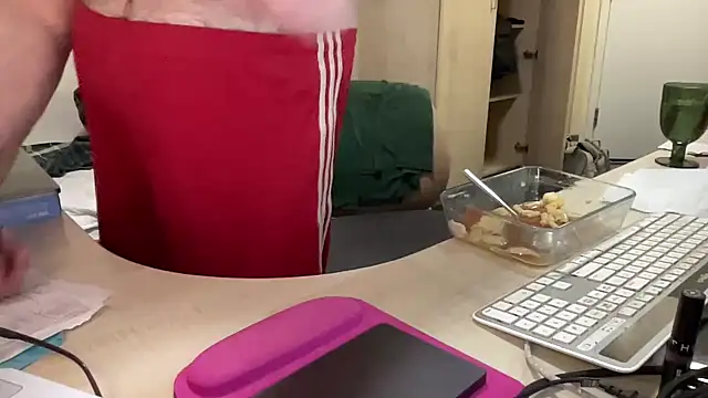 coach-karl webcam