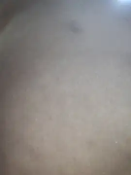 mia_mancinii webcam