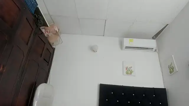 barbie_ds webcam