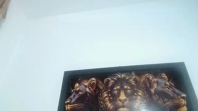 drake_brwon_23 webcam