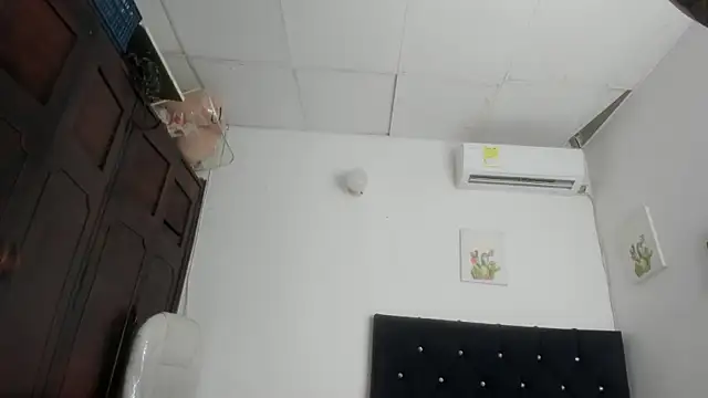 barbie_ds webcam