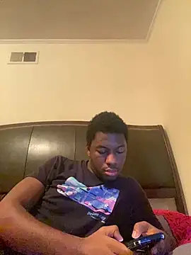 ThickDic28 webcam
