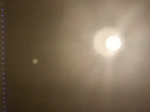Sofialovee69 webcam