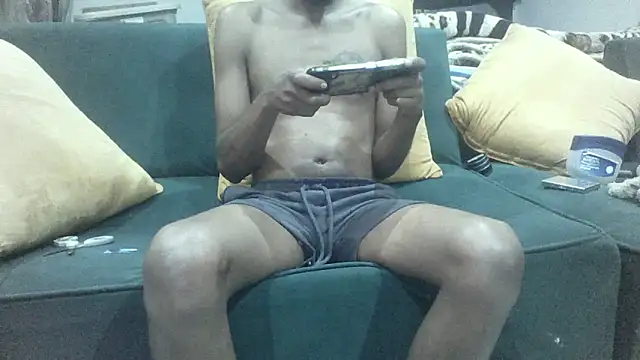 Winterslender webcam