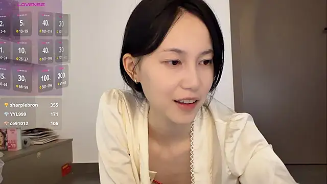 DD-5200 webcam