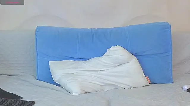 Misjklokiya webcam