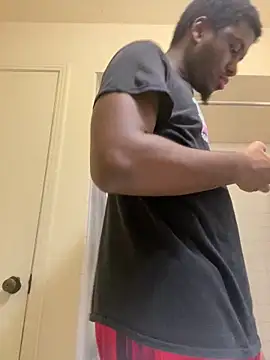 ThickDic28 webcam