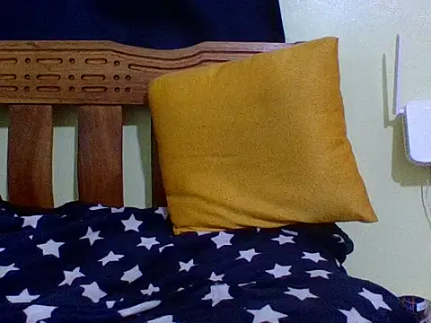 Roseroca33 webcam