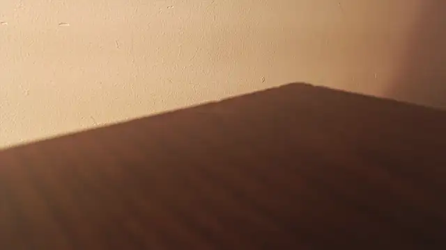 AmyPrice9 webcam
