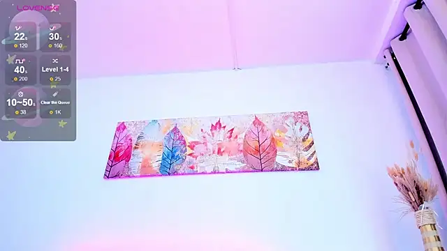 SALOME_F0X_ webcam