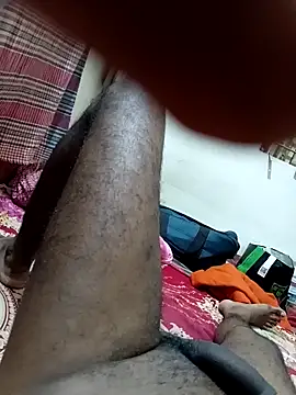 Dasdhon webcam