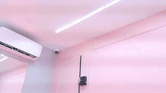 DanielleDNicola webcam