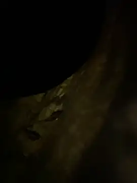 LuxeAura