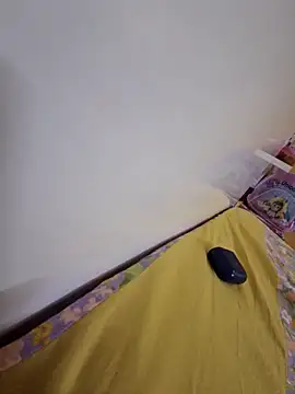 SingleTest webcam