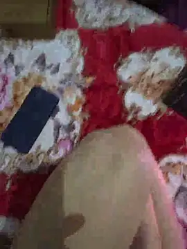 altinya webcam