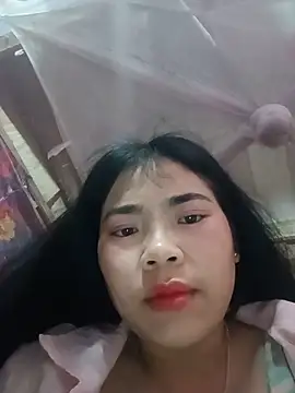Nul_chal webcam