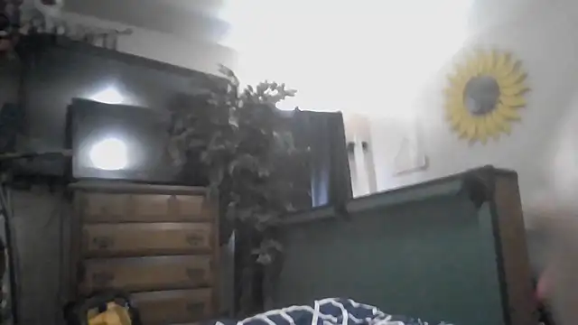 TWiSTYTheTwizted webcam