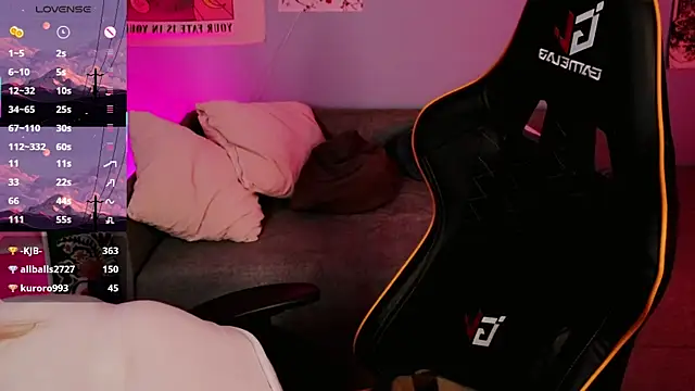 fillisfox_ webcam