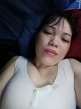 Sana-vn webcam