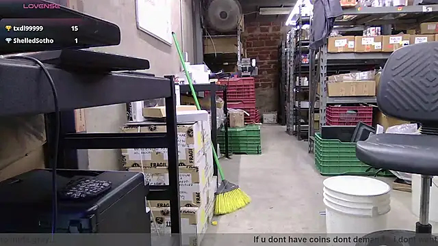 BustedCall webcam