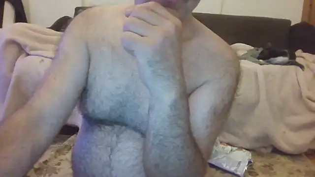 safiye34a webcam