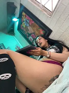 SALOME_KORLAND webcam