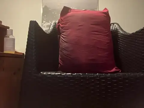 Tyyson03 webcam