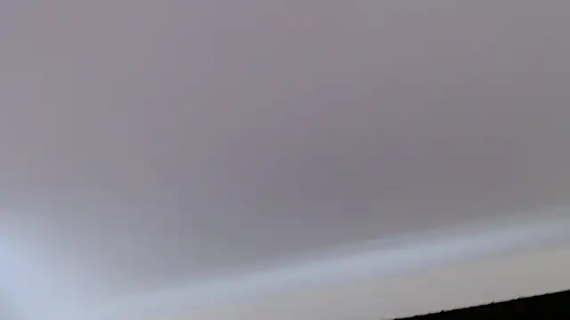 florida0217 webcam