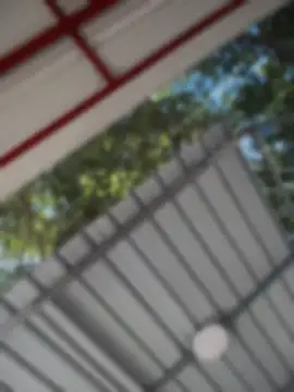 Colibri_xxx webcam
