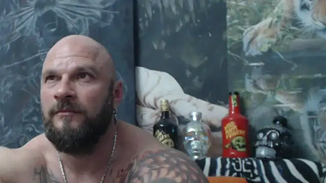 viking_30 webcam
