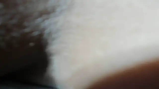 RACHELL__HOT webcam