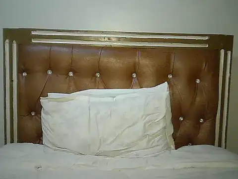 Toxique_ webcam