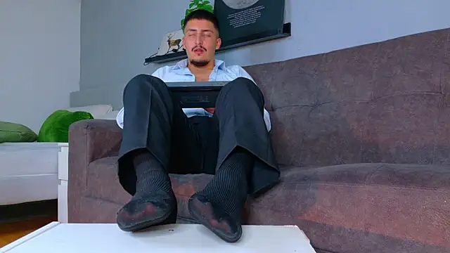 MrFox__ webcam