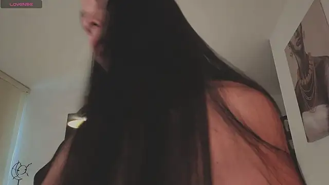 verodeli webcam