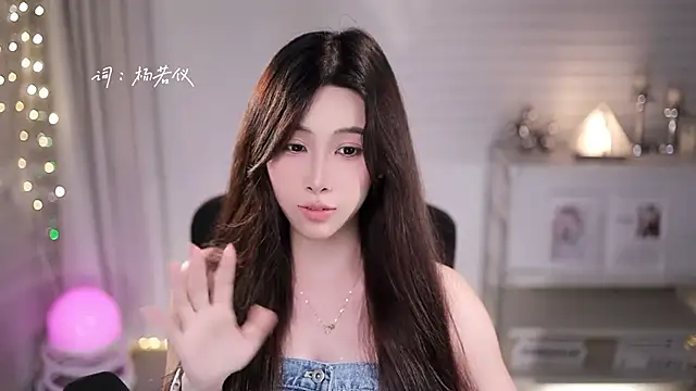 SleepArtist webcam