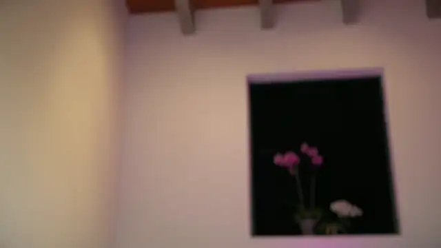mcklister_kinky_feets webcam