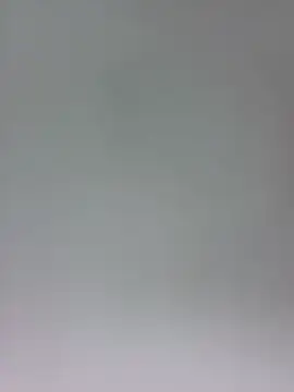 altinya webcam