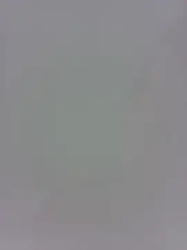 altinya webcam