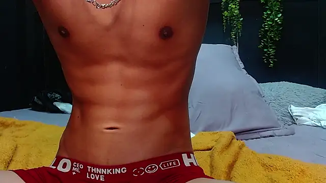Jesve webcam