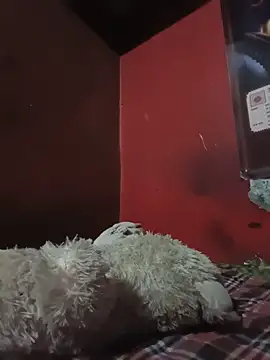 Itsraniarti webcam