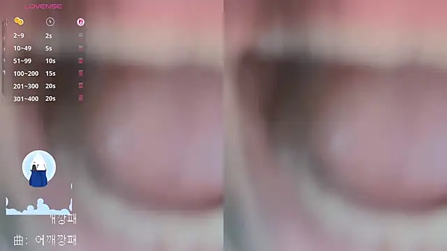 Vaidurya-Yolo webcam