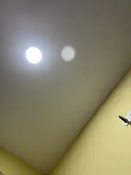 brizzmotion webcam